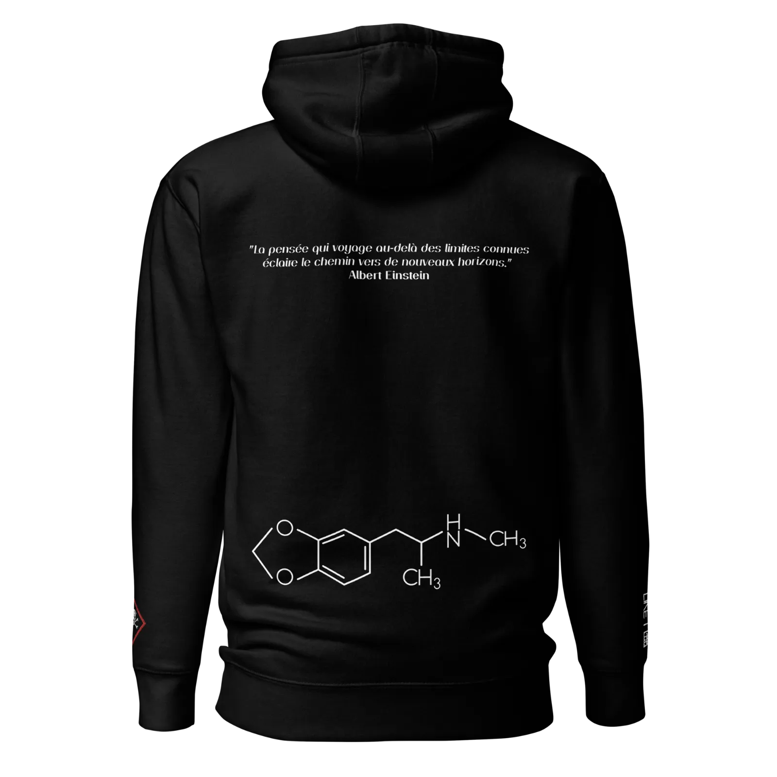 unisex-premium-hoodie-black-back-650be5b2d3787