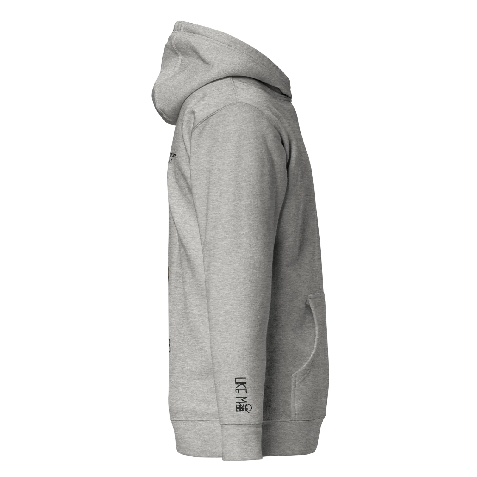 unisex-premium-hoodie-carbon-grey-right-6509502c9ca0d
