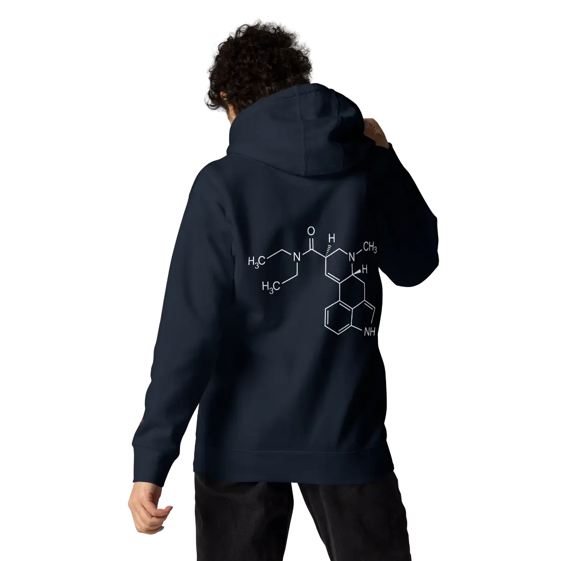 unisex-premium-hoodie-navy-blazer-back-65af2424394d1